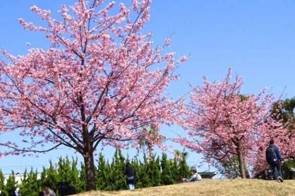 3月もヨロシクです