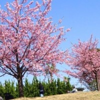 3月もヨロシクです