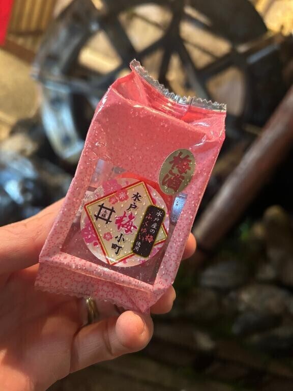 今日は久しぶりに会った本指名様