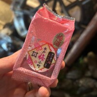 今日は久しぶりに会った本指名様