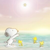 来週の出勤予定…φ(．．)ﾒﾓﾒﾓ