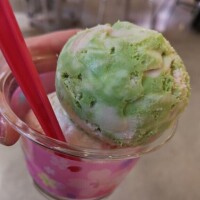 桜アイス食べられた