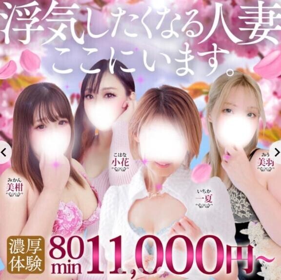 本当に久々に居ます