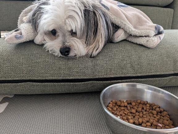 朝から悲しみ。