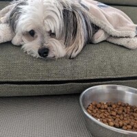 朝から悲しみ。