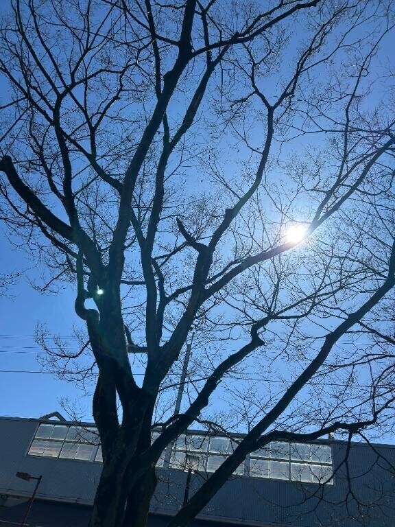 強風過ぎる〜(´；ω；｀)