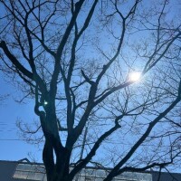 強風過ぎる〜(´；ω；｀)