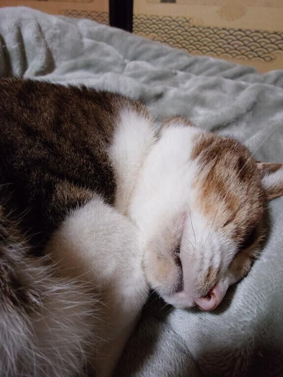 寝る支度するよ！！