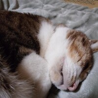 寝る支度するよ！！