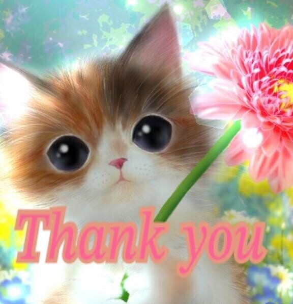 本日は、、、♡ꔛ