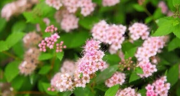 寒くなってるよぉ〜