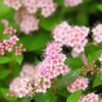 寒くなってるよぉ〜