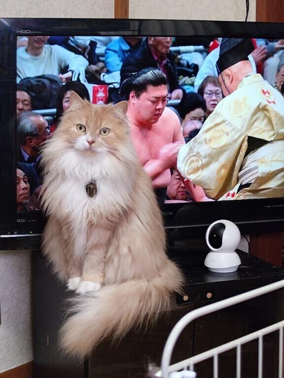 満足そうな顔してる！