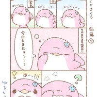 ピンクイルカちゃん(ぱちこちゃん)