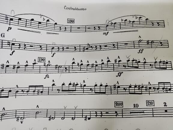 楽譜と向き合う、、、