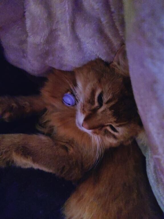 おっはーよーーーん！