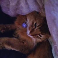 おっはーよーーーん！