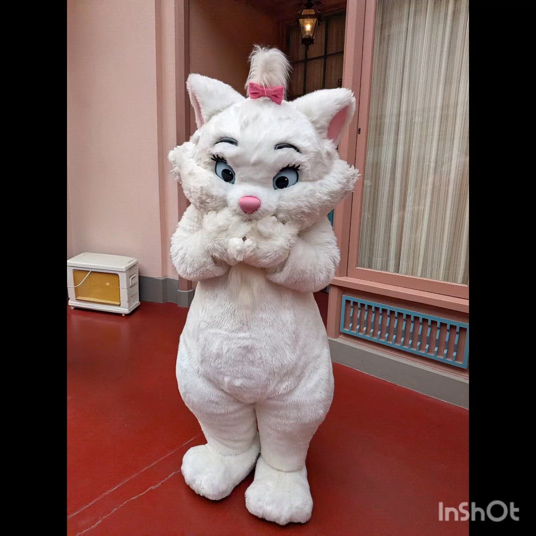 【ﾊﾛ曲に当てはめてみたら】毎日イベントだよ