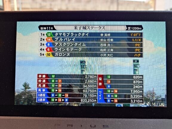 競馬の三連単、やばーい！