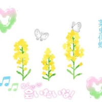 桃李【とうり】