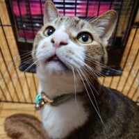 次男はのんびり中(о´∀`о)