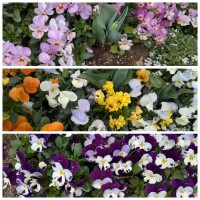 めちゃくちゃキレイ