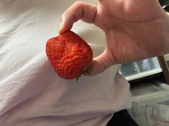 おはようございます♪♪