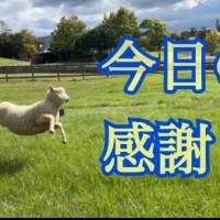 ありがとう!(´▽｀)