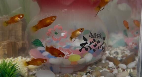 可愛い子達仲間入り♡