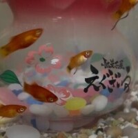 可愛い子達仲間入り♡