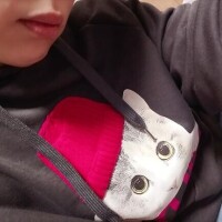 待機カジュアル