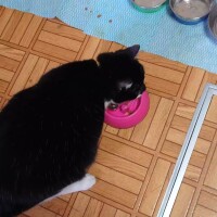 あーあーあー(  ˙꒳​˙  )