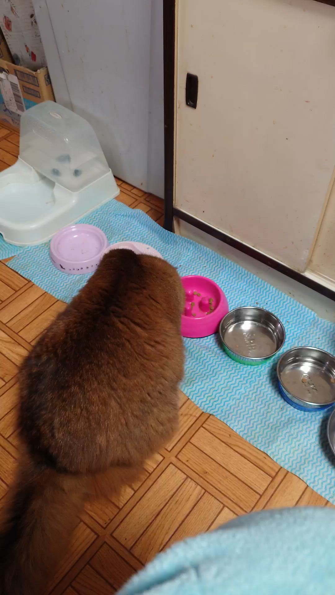 あーあーあー！2回目(*´艸`)