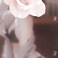 心はもう‪ノックアウト‪