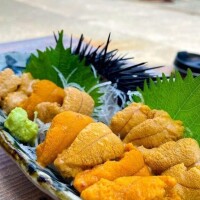 急に ヾ⁠(⁠*⁠’⁠Ｏ⁠’⁠*⁠)⁠/