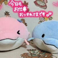 今日を〆ます
