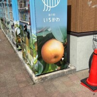 春休み