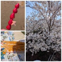 キレイ＆美味しい