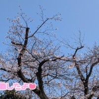 お天気