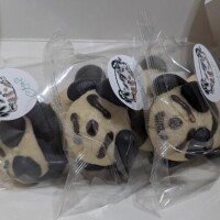 出勤する予定が……