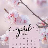 4月スタート(⁠◍⁠•⁠ᴗ⁠•⁠◍⁠)⁠✧⁠*⁠。