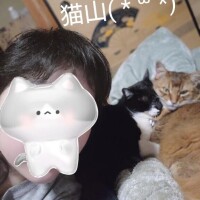 おやすみなさーい