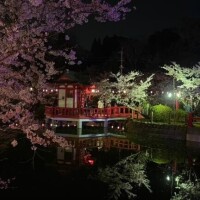 [お題]from:宴会部長さん