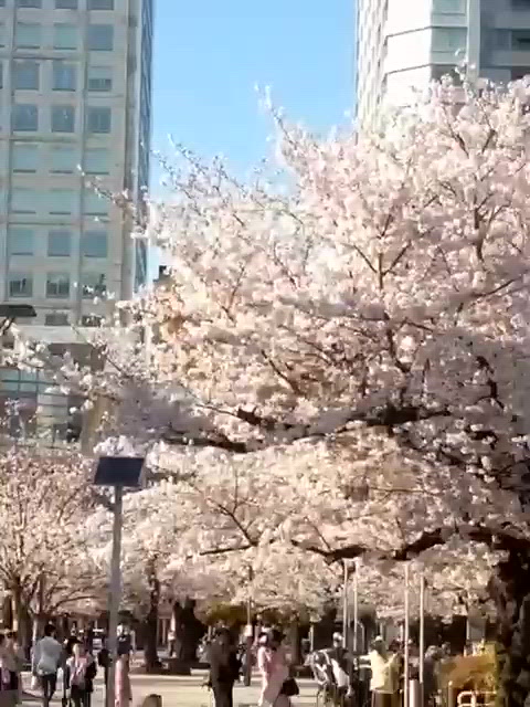 錦糸町