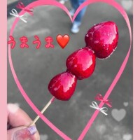 お久しぶりです