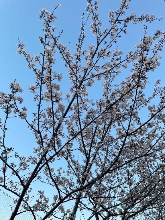 感謝