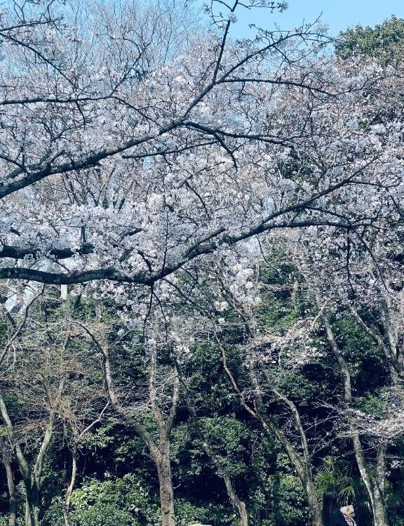 おはようございます‍