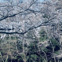 おはようございます‍