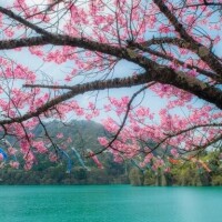 ☆こんばんは☆