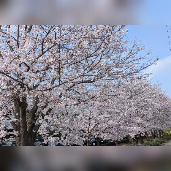 暑いねー